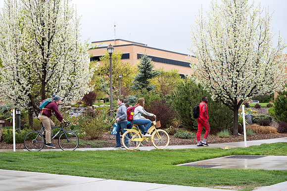 Students and scenery from the 2019 Spring Semester