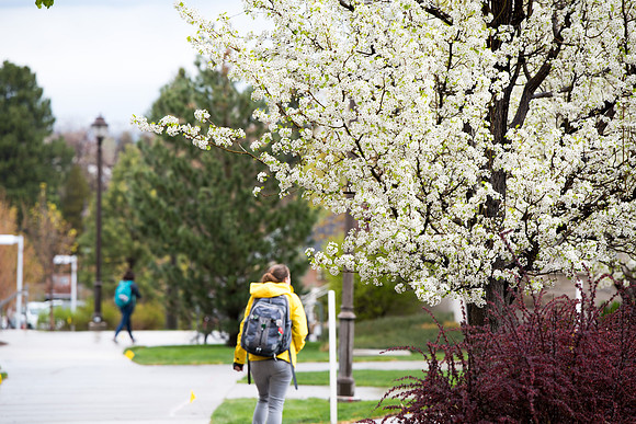 Students and scenery from the 2019 Spring Semester