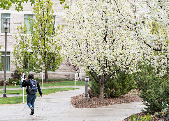 Students and scenery from the 2019 Spring Semester