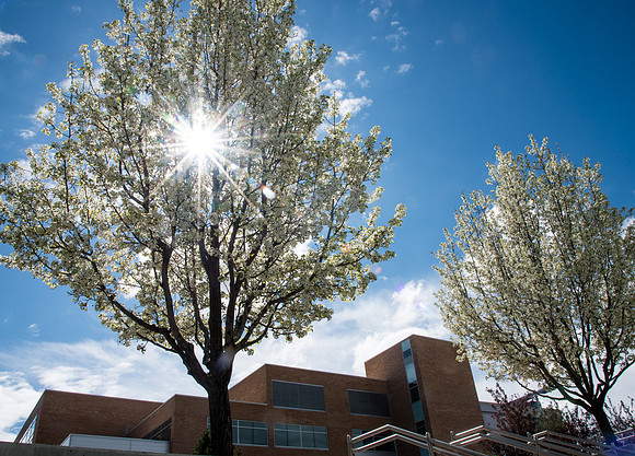 Campus - Spring 2019