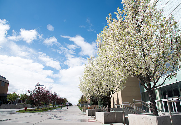 Campus - Spring 2019