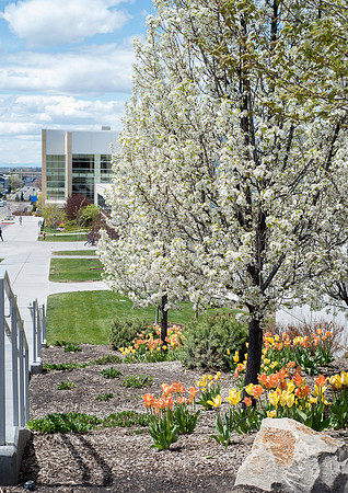 Campus Spring - May 2019