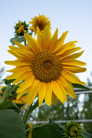 Nature on Campus - Aug 2024