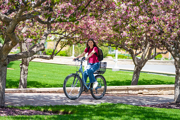 Bike Lock - May 2025