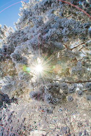Frost covers campus early morning during Winter Semester.