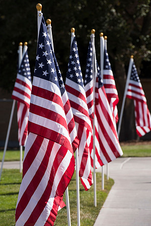 500 flags displayed in the Central Quad on Constitution Day.