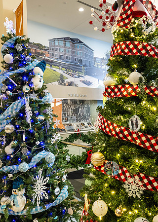 Christmas Tree Lane - Dec 2023