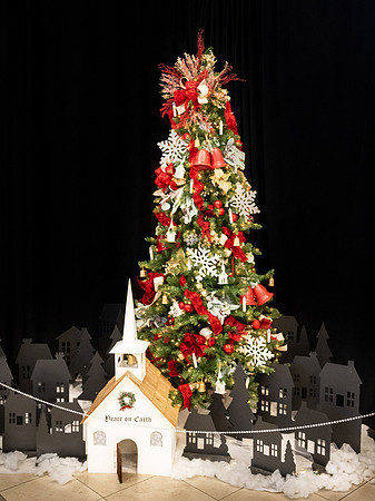 Christmas Tree Lane - Dec 2023