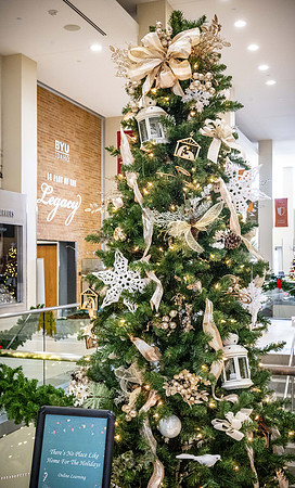 Christmas Tree Lane - Dec 2023