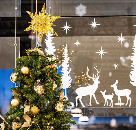 Deck the Legacy Hall with Christmas!