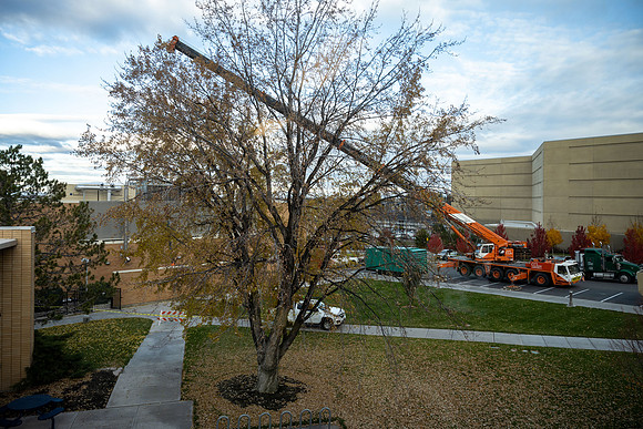 Crane on Campus - Oct 2021