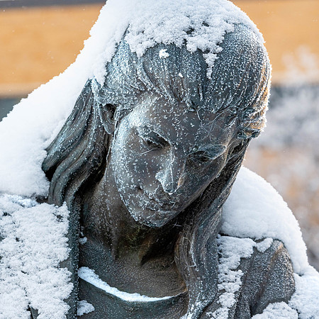 Winter Snow - Jan 2024