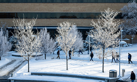 Campus Winter - Jan 2024