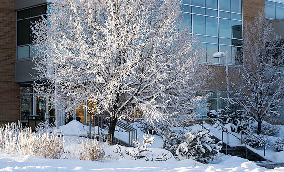 Campus Winter - Jan 2024
