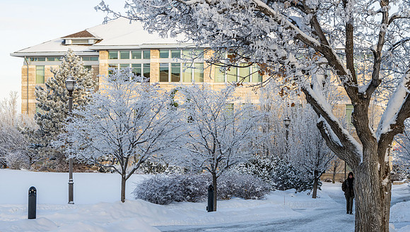 Campus Winter - Jan 2024