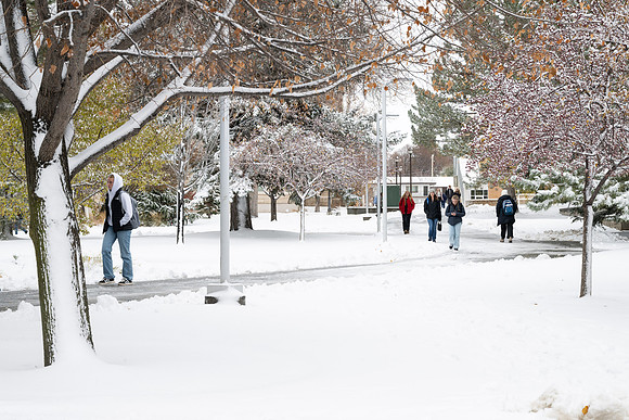 Campus Snow - Nov 2024