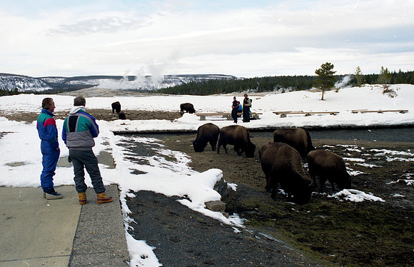 LDS Foundation donors snowmobile in Yellowstone