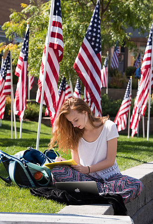 500 flags displayed in the Central Quad on Constitution Day.