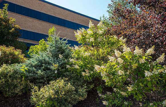 Smith Building - Aug 2019