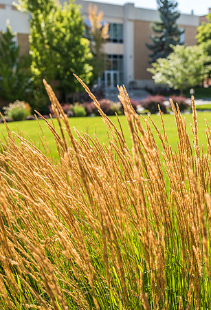 Campus - Aug 2019