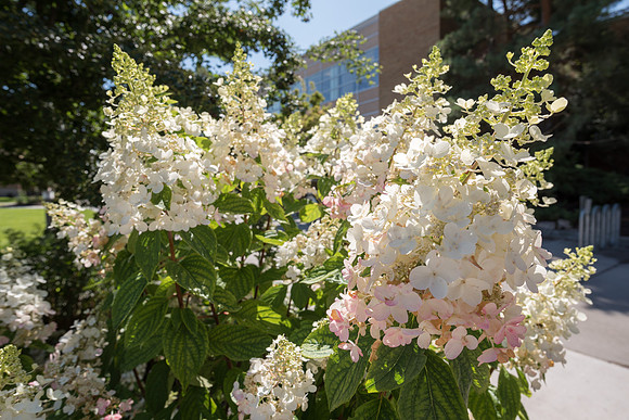 Campus - Aug 2019