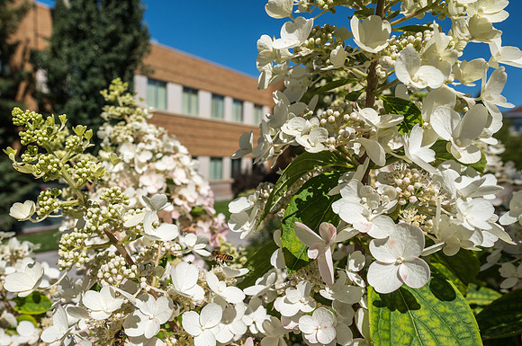 Campus - Aug 2019