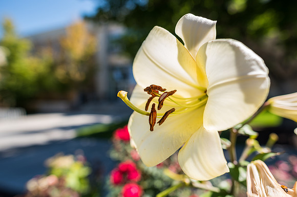 Campus - Aug 2019