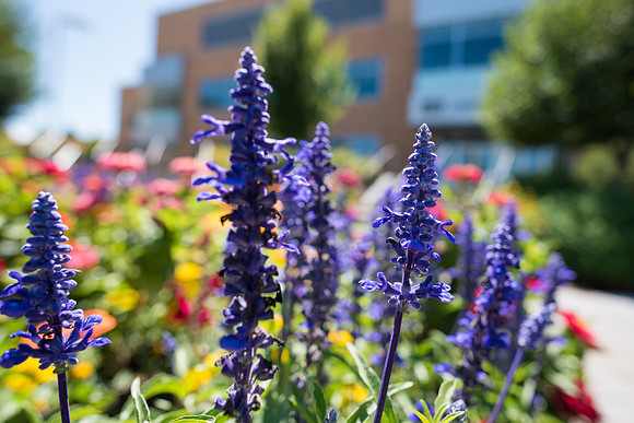 Campus - Aug 2019