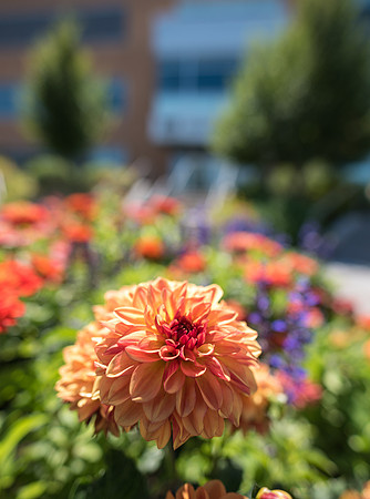 Campus - Aug 2019