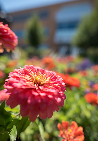 Campus - Aug 2019