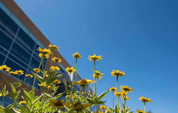 Campus - Aug 2019