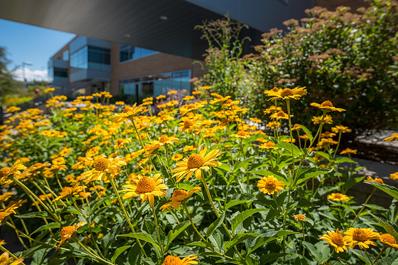 Campus - Aug 2019
