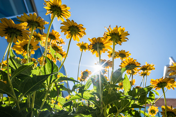 Campus - Aug 2019