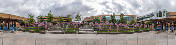 Flags decorate the Amphitheatre to celebrate the Constitution of the United States of America. Fall Semester.