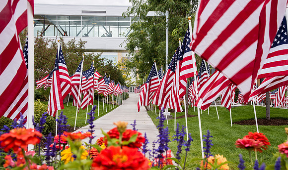 Campus is decorated in hundreds of flags to commemorate the US Constitution.