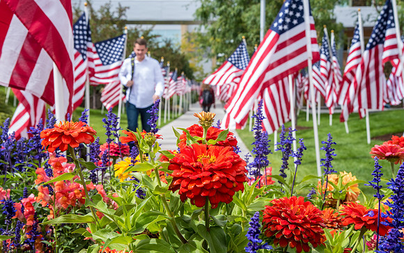 Campus is decorated in hundreds of flags to commemorate the US Constitution.