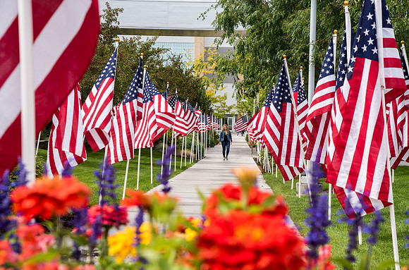 Campus is decorated in hundreds of flags to commemorate the US Constitution.