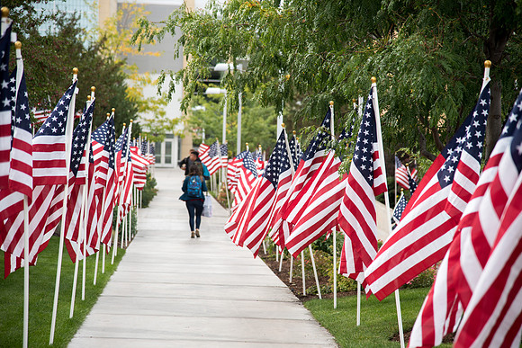 Flags on campus for Constitution Day