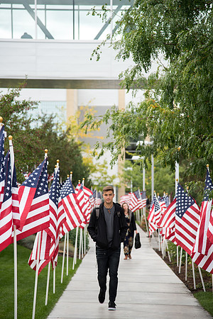 Flags on campus for Constitution Day