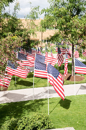 Flags on campus for Constitution Day