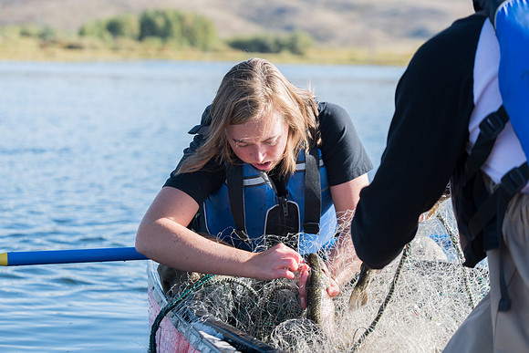 Students in the class of Principle of Fish Management,taught by Brother Billman, learn how to set gill nets to capture fish in the ponds at Sand Creek.