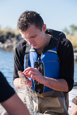 Students in the class of Principle of Fish Management,taught by Brother Billman, learn how to set gill nets to capture fish in the ponds at Sand Creek.