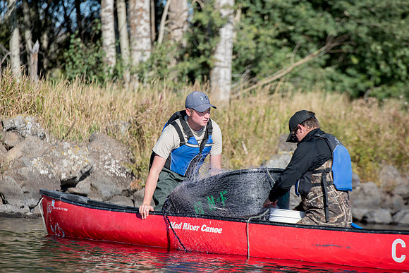 Students in the class of Principle of Fish Management,taught by Brother Billman, learn how to set gill nets to capture fish in the ponds at Sand Creek.