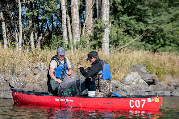Students in the class of Principle of Fish Management,taught by Brother Billman, learn how to set gill nets to capture fish in the ponds at Sand Creek.