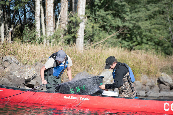 Students in the class of Principle of Fish Management,taught by Brother Billman, learn how to set gill nets to capture fish in the ponds at Sand Creek.