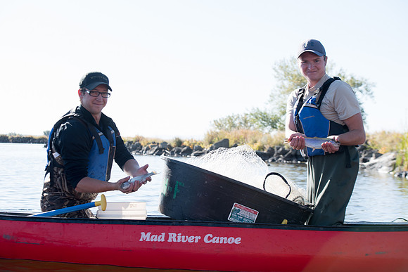 Students in the class of Principle of Fish Management,taught by Brother Billman, learn how to set gill nets to capture fish in the ponds at Sand Creek.