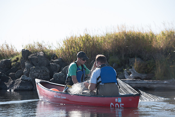 Students in the class of Principle of Fish Management,taught by Brother Billman, learn how to set gill nets to capture fish in the ponds at Sand Creek.