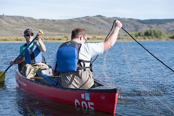 Students in the class of Principle of Fish Management,taught by Brother Billman, learn how to set gill nets to capture fish in the ponds at Sand Creek.