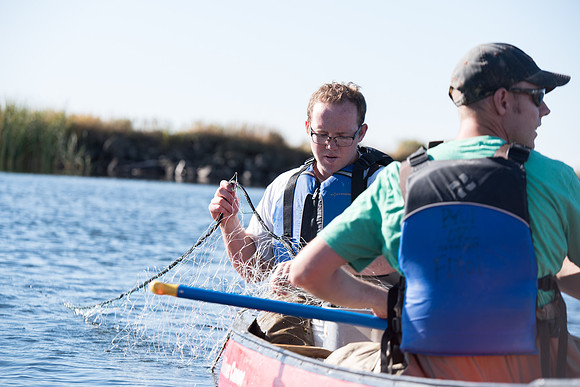 Students in the class of Principle of Fish Management,taught by Brother Billman, learn how to set gill nets to capture fish in the ponds at Sand Creek.