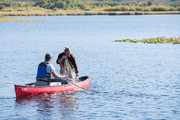 Students in the class of Principle of Fish Management,taught by Brother Billman, learn how to set gill nets to capture fish in the ponds at Sand Creek.